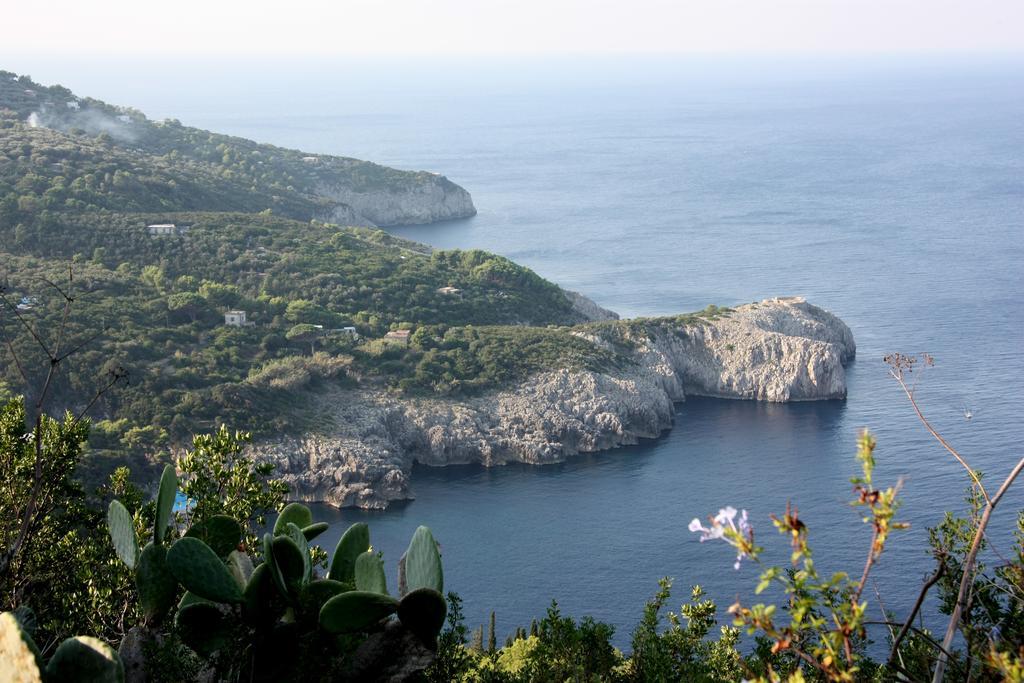 Hotel Al Mulino Anacapri  Esterno foto